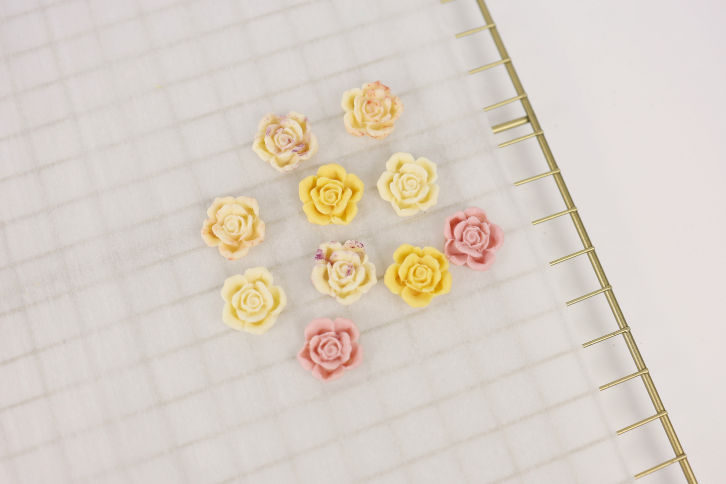 Summer Roses | Little Paws
