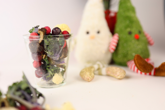 HOLIDAY SPECIAL - Freeze Dried Salad Mix (pre-order)