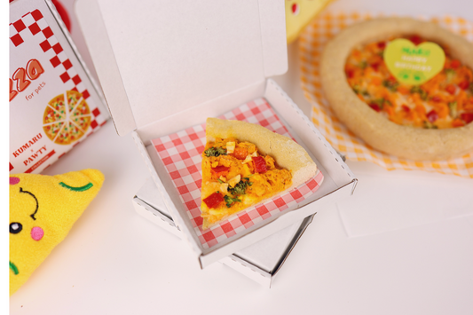 Freeze Dried Pizza Slice（Limited Time Offer) pre-order