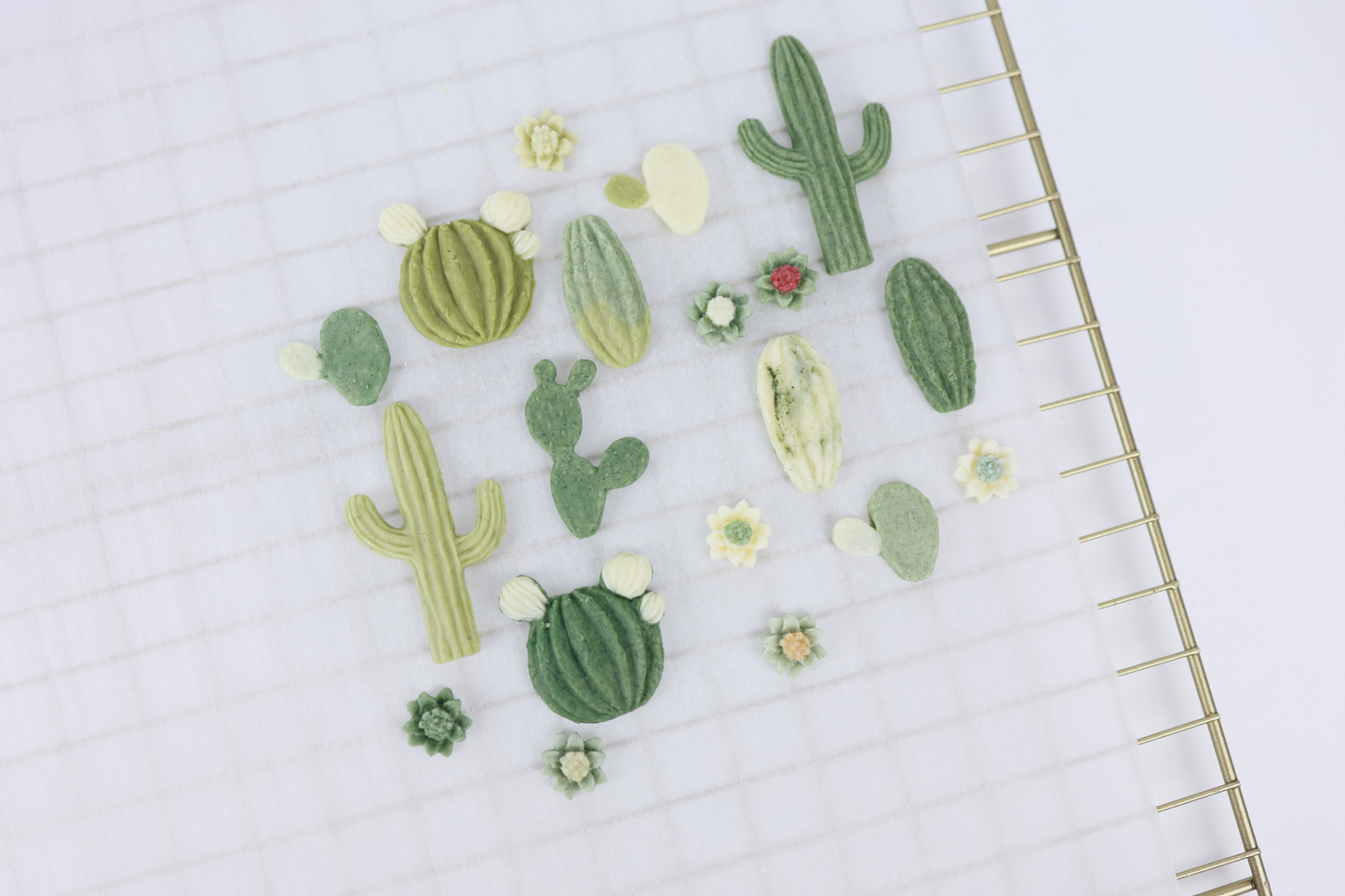 Prickly but tasty | Little Paws