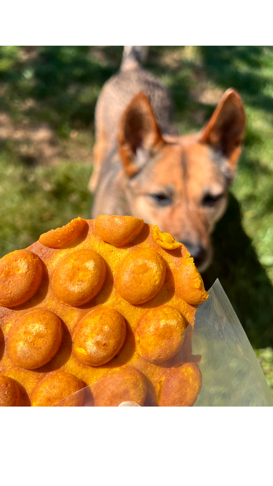Freeze Dried Bubble Waffle | Kumaru x Pawty